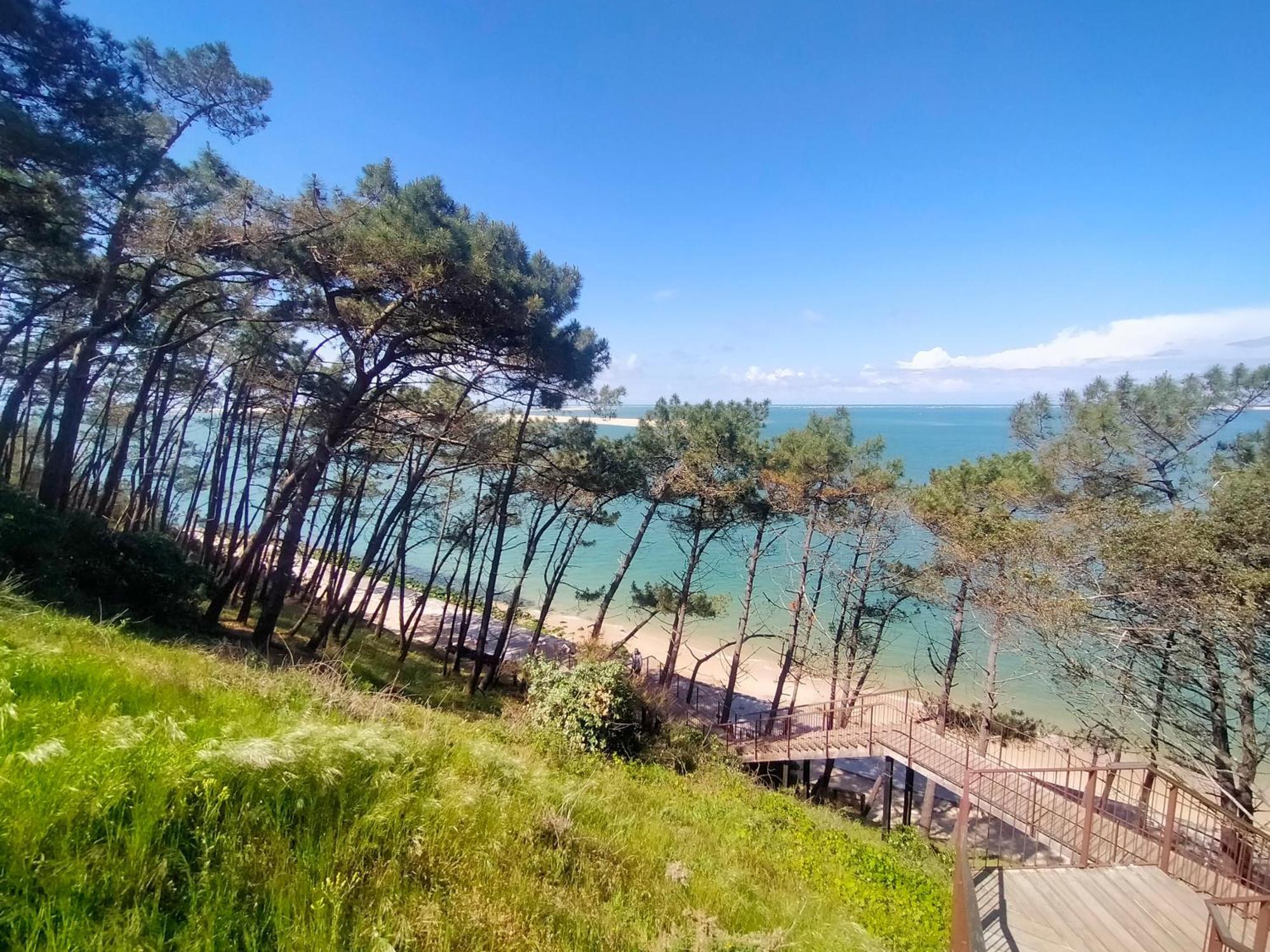 Gite Avec Piscine Et Espace Bien-Etre Partages Entre Bordeaux Et Lacanau Ocean (Adults Only) Brach المظهر الخارجي الصورة